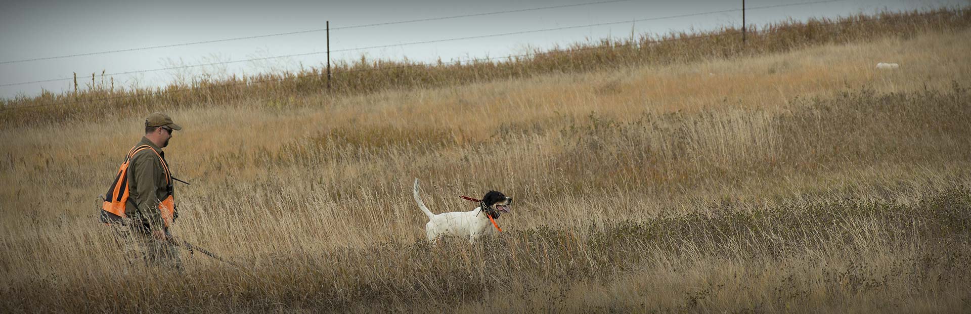 Colorado Quail Hunting | Bobwhite Quail Hunts