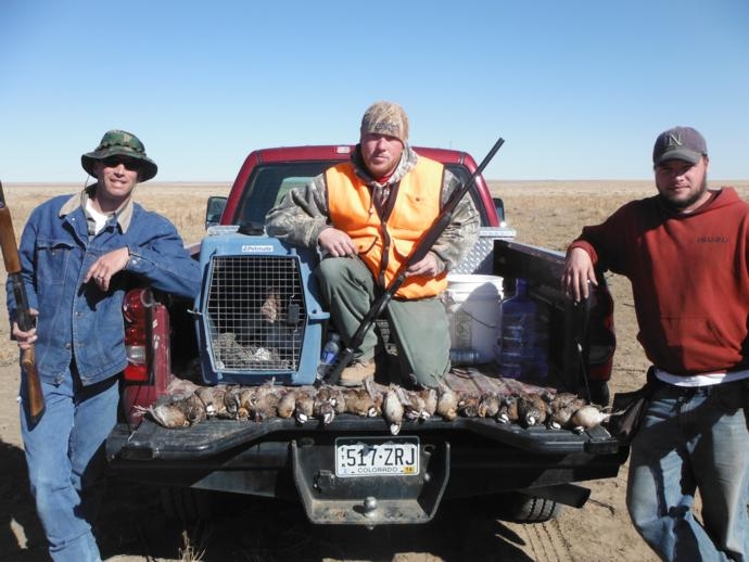 quail hunting 2014