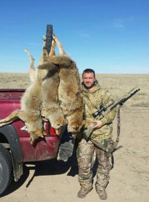 <p>Awesome coyote hunting action</p>