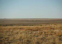 <p>A prairie view over looking some of the ranch. </p>