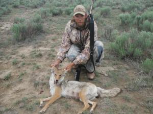 <p>Shotgun coyote.  38 yards with #4 nickel plated buckshot.  Summer 2013</p>