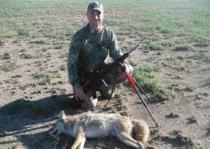 This coyote was called in and harvested on open ground.  He came in strong, on a run, then trotted around us.  He would not stop with a woof and 1 shot took him down at about 60 yards.  7-18-13