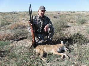 2nd coyote of the day.  An excellent shot at about 200 yards took him down hard.  10-3-13