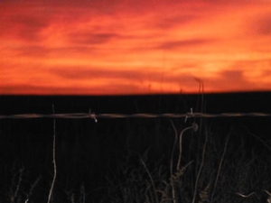 <p>A beautful sinrise on November.  The morings out on the plains hunting can be very breath taking, full of color.</p>