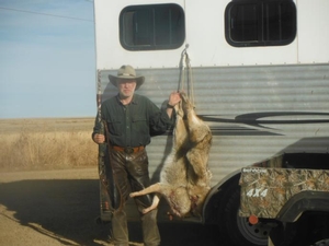 <p>The harvest from day 2 for the Austrian.  One was taken with a 22-250 at about 250 yards.  The other was killed 8 yards from the the end of the barrel of a remington model 1100 shooting 3 inch #2 shot.  The coyote was charging the decoy and it was very intense.  12-3-13</p>