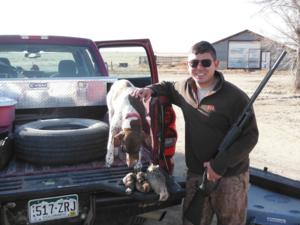 <p>The day just kept getting better.  After the succesful morning coyote hunt we regrouped at the ranch for lunch.  After eating we shot a few clays the hit the tree rows and junk piles looking for pheasant and quail.  We managed to get one pheasant and a couple of quail after some exciting shooting. </p>