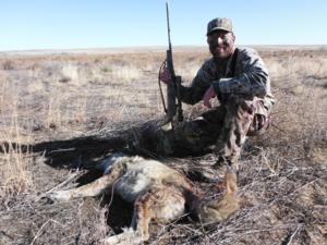 <p>A good moving away shot took this old male coyote down.  He cam in behind us and after getting a visual on him one shot with a 22-250.  12-27-13</p>