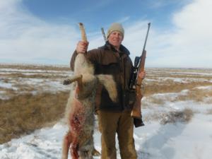 <p>It took a team effort to get this coyote.  The action was very good in the morning and we had to track this coyote several miles.  She finally buried up in some tumble weeds and got a shotgun shot to seal the deal.  2-8-14</p>