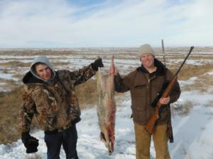 <p>It took a team effort to get this coyote.  The action was very good in the morning and we had to track this coyote several miles.  She finally buried up in some tumble weeds and got a shotgun shot to seal the deal.  2-8-14</p>