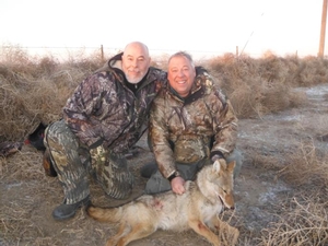 <p>A tough shot that landed home.  This nice male coyote was taken over 200 yards away.  2-26-14</p>