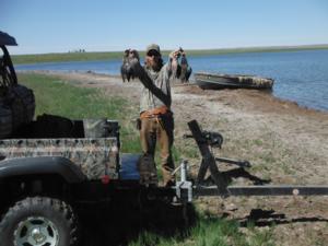 We have duck hunting also. Here are some blue wing teal.