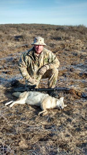 <p>A large, fluffy, well fed coyote. Again patience was key. Three came over the hill at about 17 minutes in. 2 held up and a variety of calls coaxed one in to about 200 yards. One shot</p>