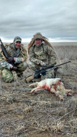 <p>First coyote of day 1</p>
<p> </p>