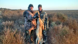 <p>First coyote of the morning. This big male had spotted us sneaking in. Opting for a long shot in the early morning stillness proved to be the right choice. October 2015</p>