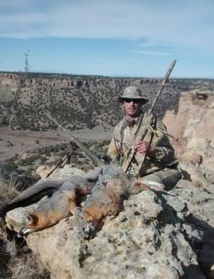 <p>Off the hook gray fox hunting</p>