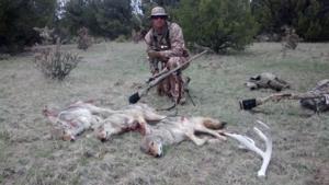 <p>Awesome morning coyote hunt</p>