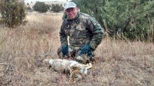 <p>Key to success on this coyote?  Watching down wind</p>