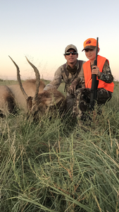 Exciting plains elk hunting action 