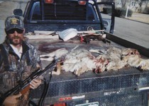 One morning's coyote hunt.  These coyotes were harvested on Thanksgiving weekend 2011 in one day before 11am.  It was a great hunt with superb marksmenship skills 