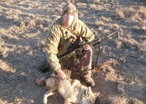 This coyote was charging in and froze at 100 yards.  12-8-12