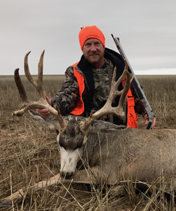 heavy and deep mule deer with excellent shot from a muzzleloader 