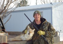 This coyote was harvested one and a half miles from the ranch driveway.  