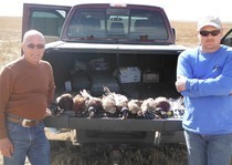 A morning pheasant hunt at KB Style Adventures, llc